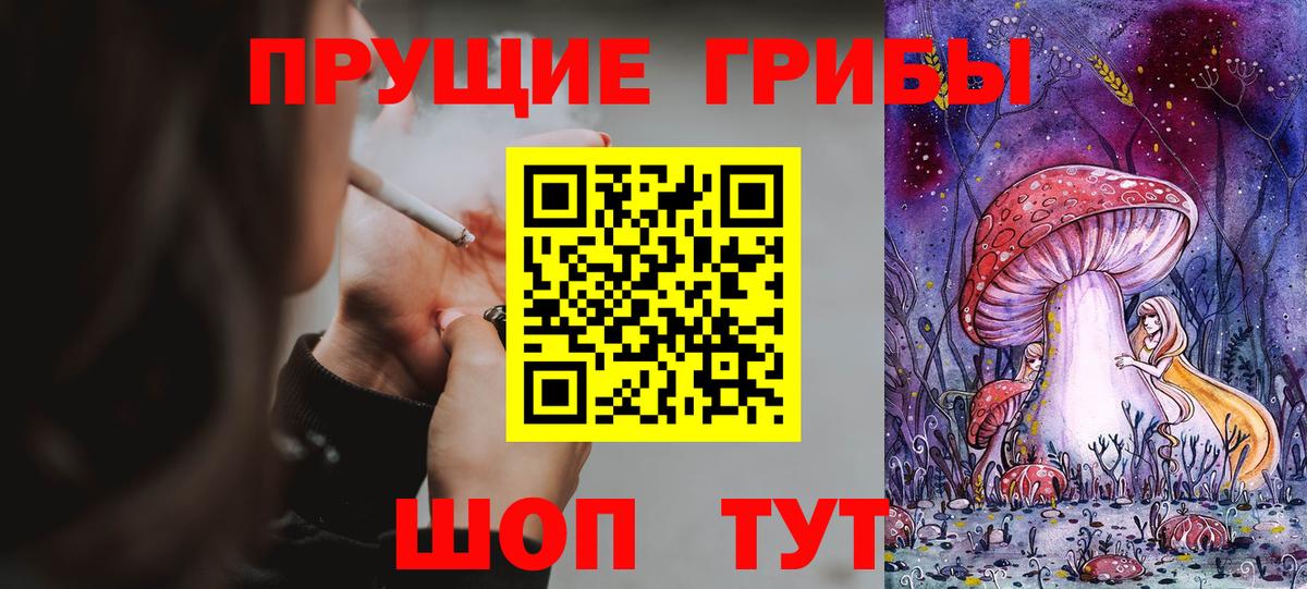 Псилоцибиновые грибы Cubensis Заринск